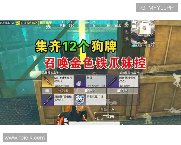 esports最新数据电竞比分专访杨芳揭秘和平精英成功秘诀与未来发展方向